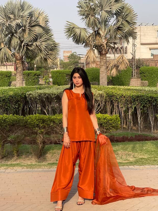 Rust Orange Grace – Contemporary Saree-Inspired Set